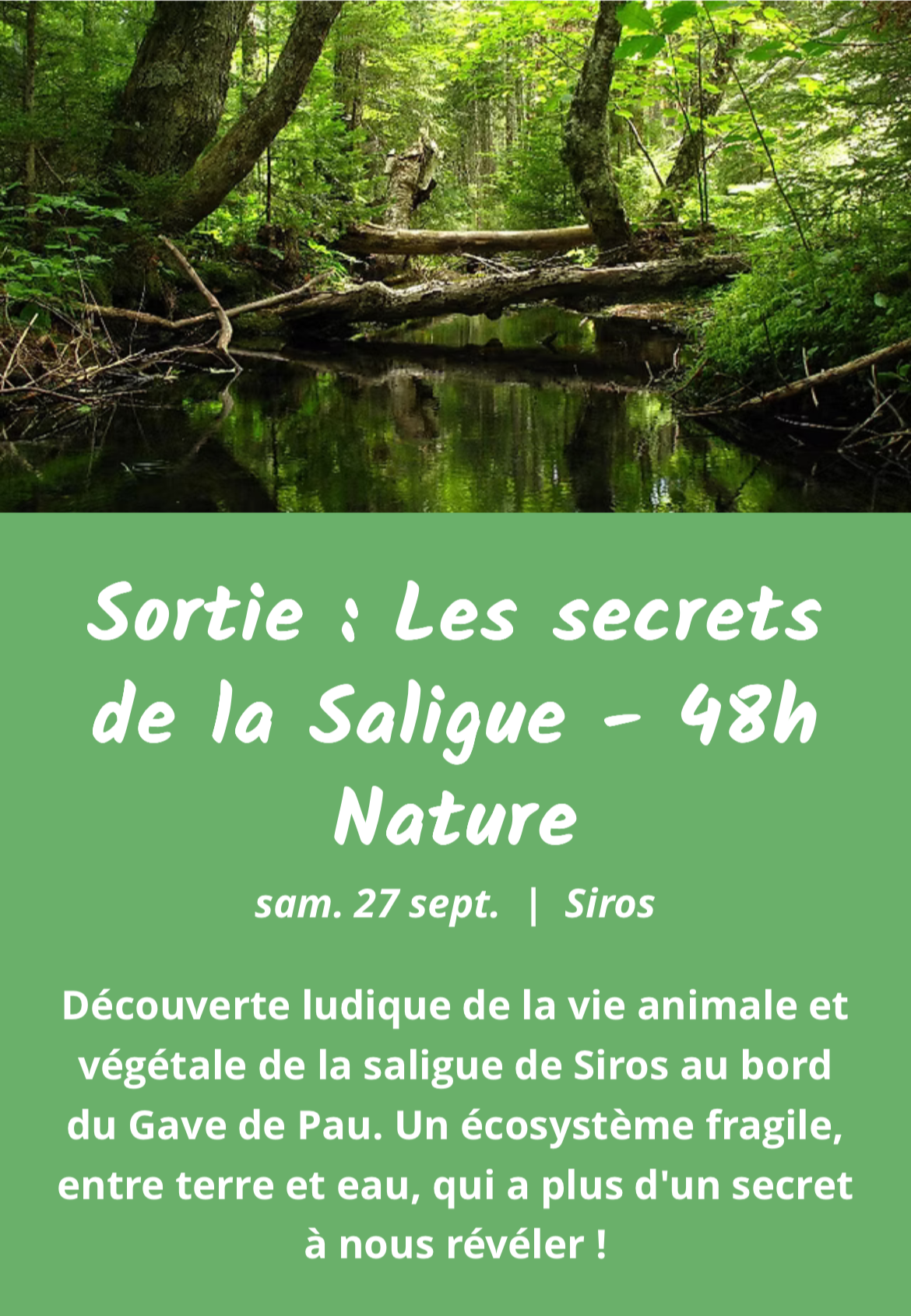 SALIGUE