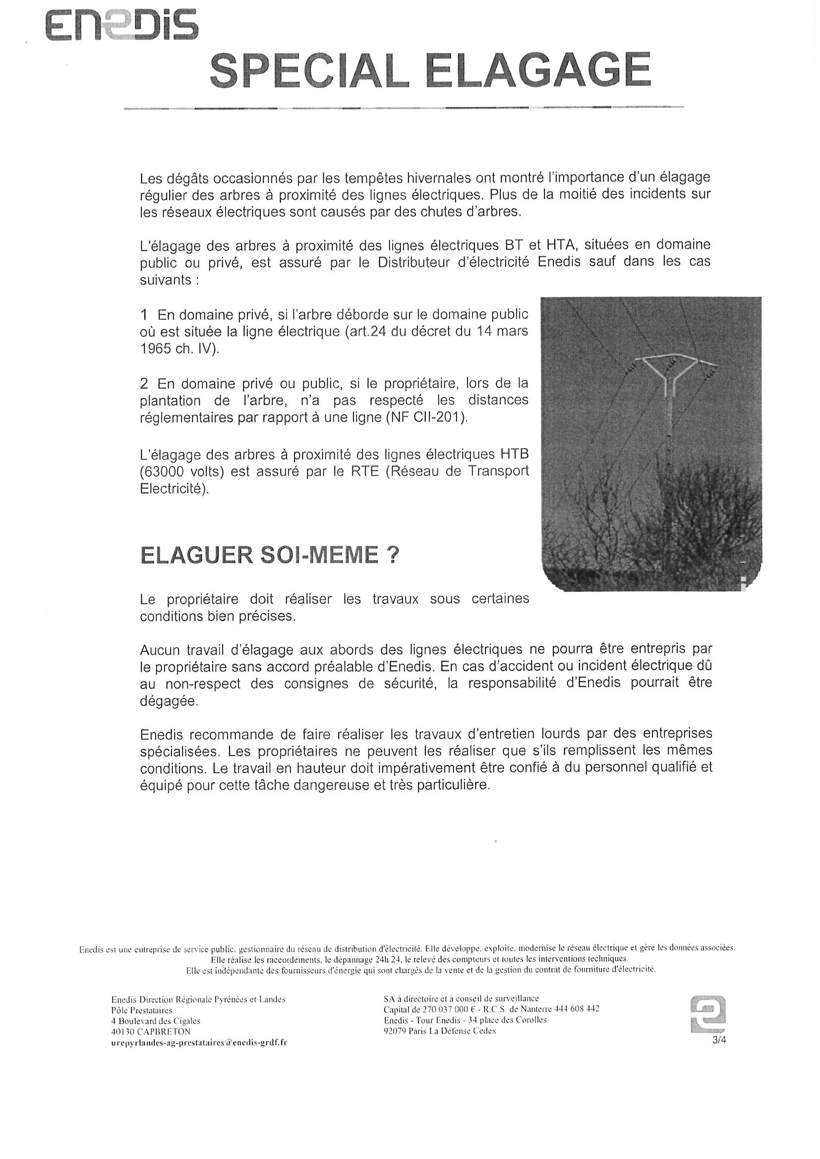 spécial elagage